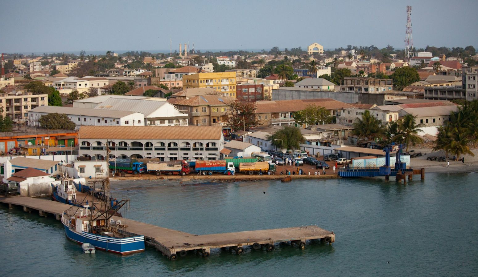 descrubre la fauna de gambia con tu hijo